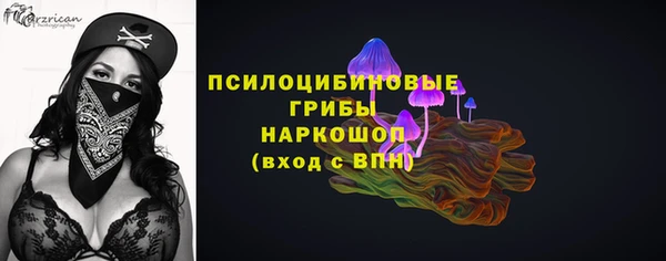 спиды Алексин